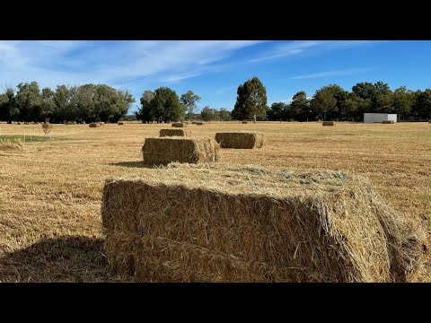 27 Foothills Road, Okuku, Canterbury, 3 bedrooms, 2浴, Lifestyle Property