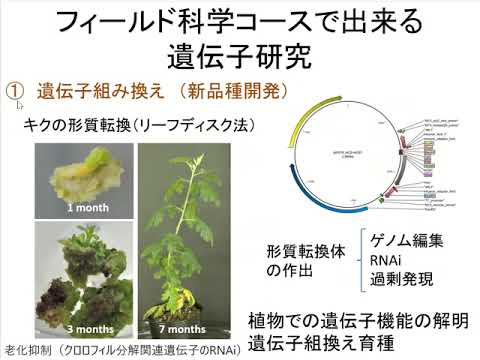 遺伝子を調べてみようVol1