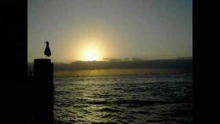 Asia - An Extraordinary Life