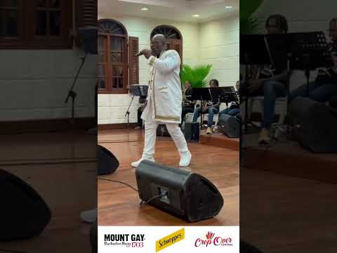 Nation Update Stray Cats Calypso Tent 2025