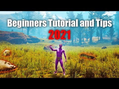 Beginners Tutorial and Tips Citadel Forged With Fire 2021