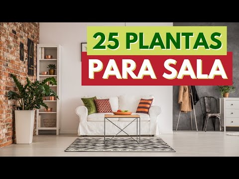 25 PLANTAS PARA DENTRO DE CASA! DECORE SUA SALA COM PLANTAS! FOLHAGENS DE MEIA SOMBRA!