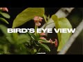 UNLITLED BIRD S EYE VIEW