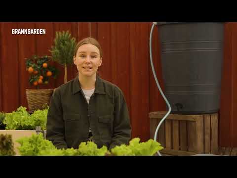 Allt om droppbevattning