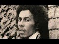 Bob Marley - Mr Talkative
