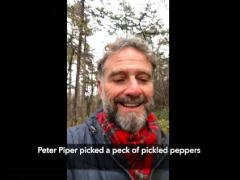 Peter Piper - Practicing Vowel Sounds