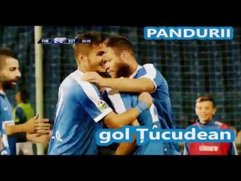 Gol George Țucudean - Pandurii Târgu Jiu 2–0 FC Botoşani (min. 57)
