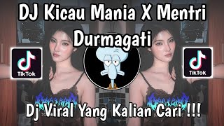 Download lagu DJ KICAU MANIA X MINISTER DURMAGATI PARTY VELOCITY FULL BASS VIRAL TIKTOK LATEST 2026! mp3