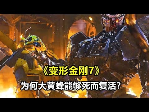 《变形金刚7》为什么大黄蜂能够死而复生？