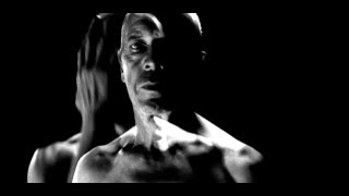 Pharmakon - Autoimmune