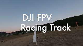 DJI FPV Racing Track. Crash, Crash, Crash. T.T