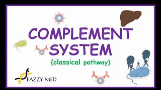 Complement System Made Simple ( classical pathway)