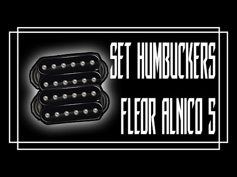 Set Humbuckers FLEOR Alnico 5