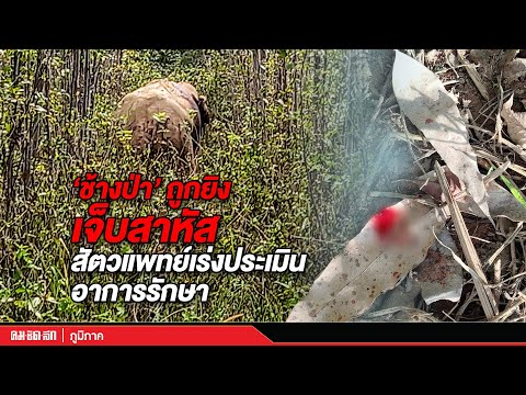 อาการ