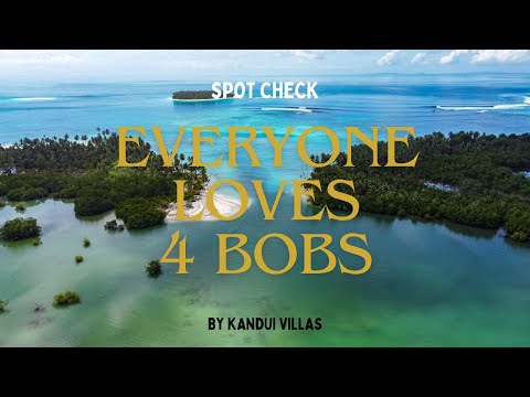 MENTAWAI SURF "EVERYONE LOVES 4 BOBS"