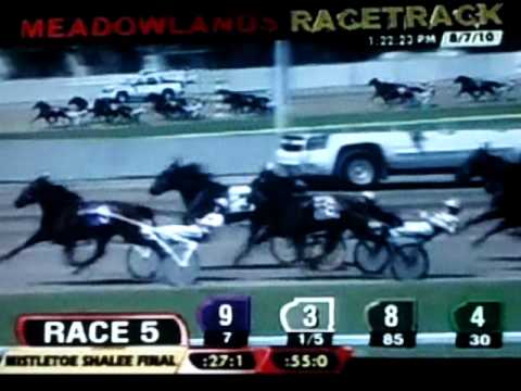 2010 Hambletonian Day - Race 5 - Mistletoe Shalee Final