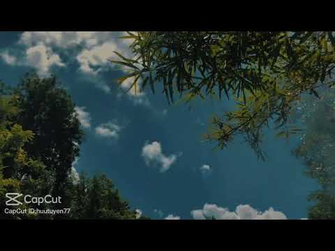 beautiful  place  😍 💕 ❤️ ✨️  #love #place ( Sporshiya and Samiha)