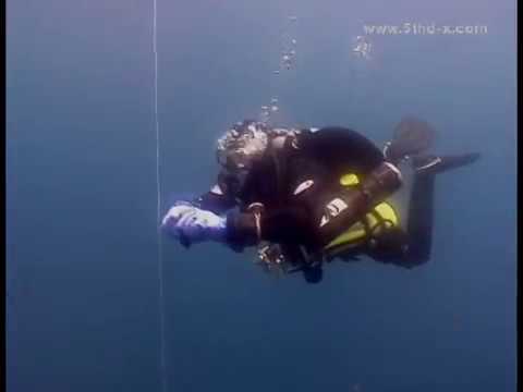 (5thD-X) Essentials Of Technical Diving - (Stages) 2 Bottle: Accent