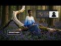Never Start From Scratch with Shutterstock