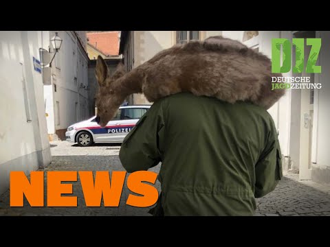 Spektakuläre Rehrettung, Bockjagd-Countdown, Waldbrand u.w. - DJZ-News 17/2020