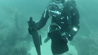 Download lagu Apeks RK3 HD vs. Scubapro Jet Fins weight. mp3 Download lagu Apeks RK3 HD vs. Scubapro Jet Fins weight. mp3