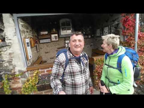 Der Moselsteig von Cochem nach Treis-Karden