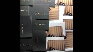 Sean Leon - "1:19" OFFICIAL VERSION