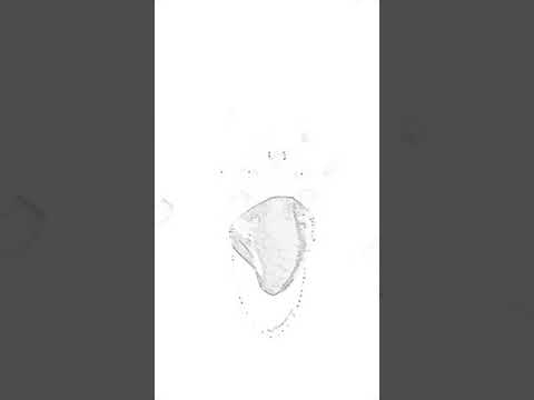 dolly pran ft kouz1🔥💓🔥☄