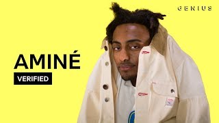 Aminé "Spice Girl" Official Lyrics & Meaning | Verified