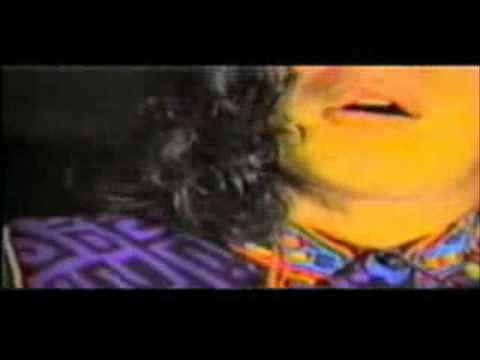 Tanto Amor - La Bamba