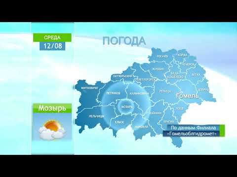 Погода в Гомеле и Гомельской области 12 августа видео