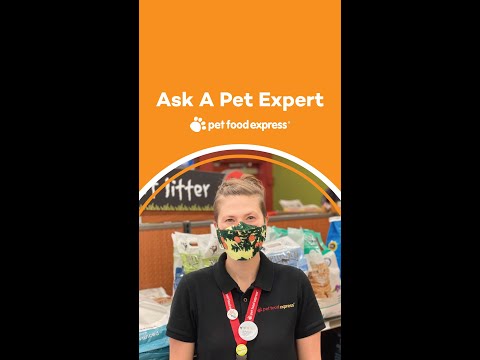 Ask A Pet Expert / Pet Food Express