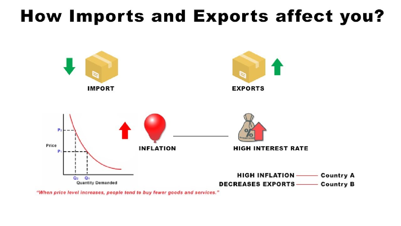 How Imports and Exports Affect You | Economics