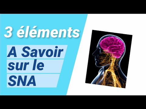 Comprendre le Système Nerveux Autonome par Life Medical Control