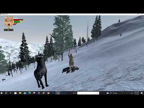 Eliminating Lucky Pack || Some wolfquest chaos
