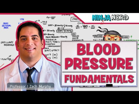 Cardiovascular | Fundamentals of Blood Pressure