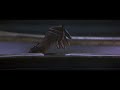 Stargate Ra In The Sarcophagus