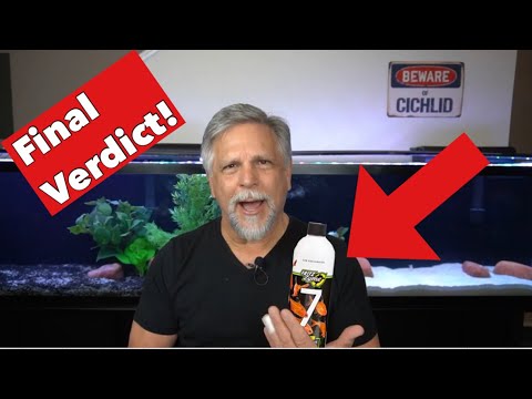 Can We Add Fish INSTANTLY to a NEW TANK? -  [Fritz Zyme 7] - Did it Work?