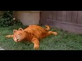 Cena Do Filme Garfield O Filme 2004 Dublado 2 3