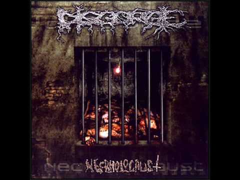 Disgorge - Raise The Pestilence