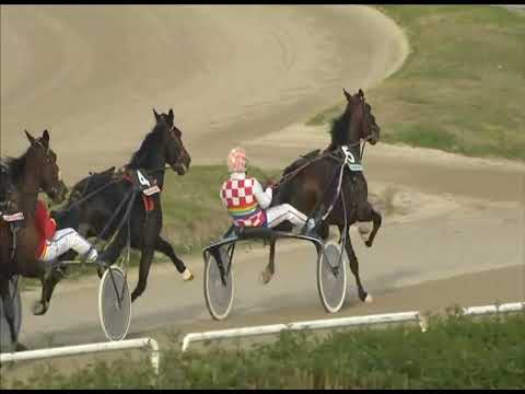 Napoli Trotto 08/12/2022 - 2ª corsa