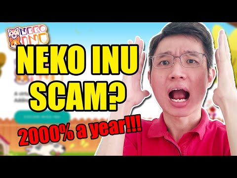 Why I Think Neko Inu Is A Scam