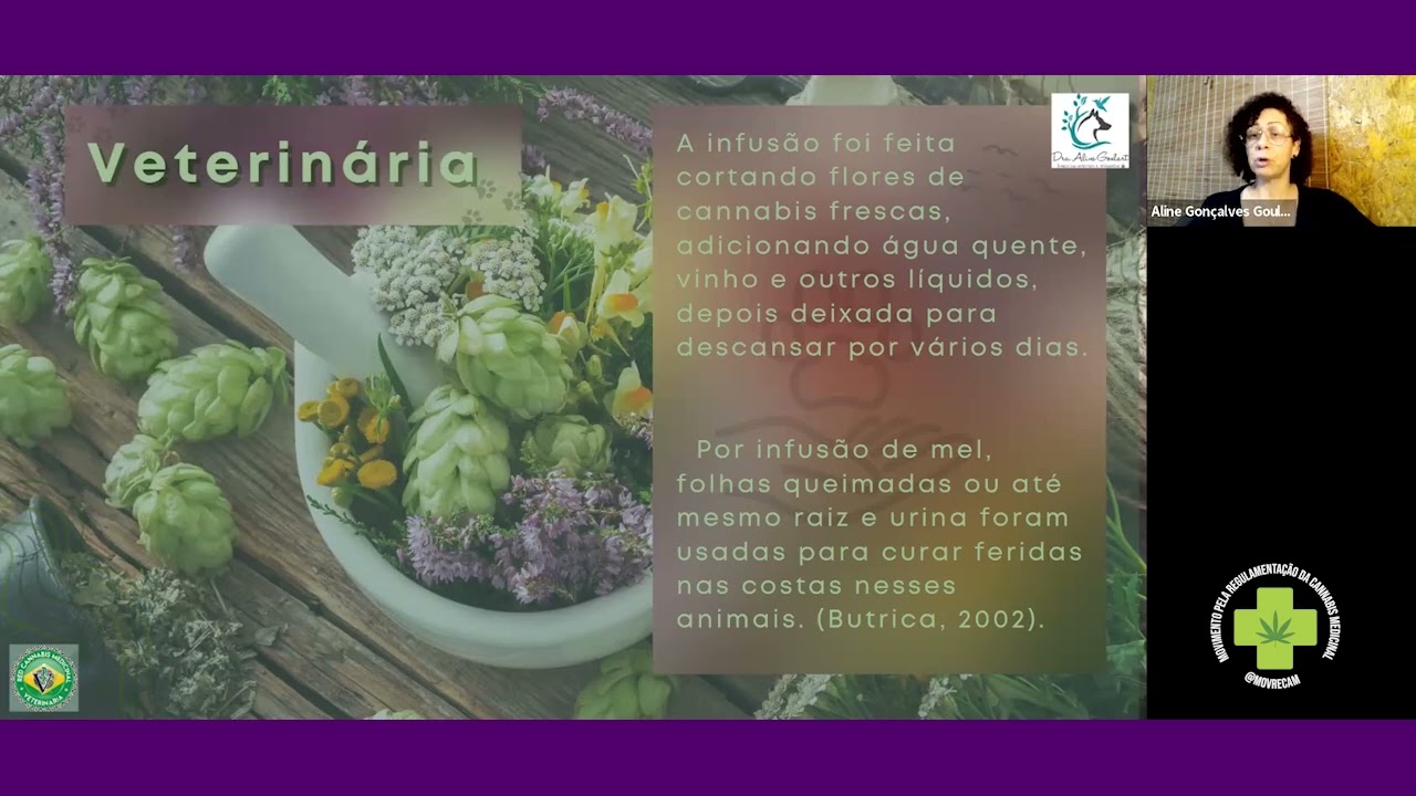11ª Aula - Uso da Cannabis na Medicina Veterinária, Dra. Aline Mendes e Dra. Aline Goulart