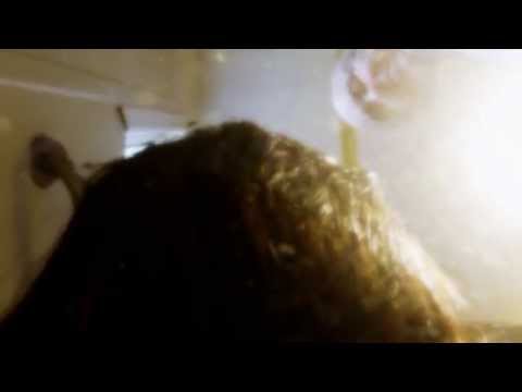 It Was Sunny the Day I Killed Her (on the set), a Kenneth J. Harvey film. Two Minute Teaser.