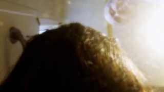 It Was Sunny the Day I Killed Her (on the set), a Kenneth J. Harvey film. Two Minute Teaser.