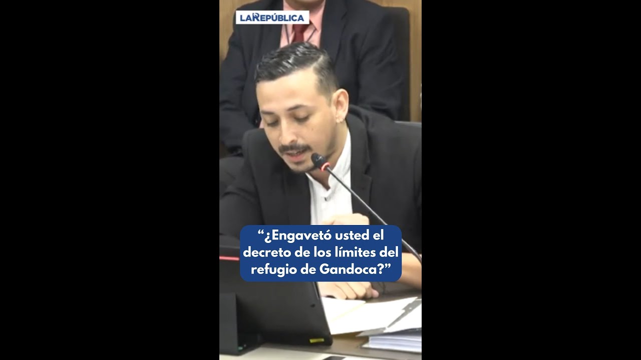 “¿engavetó usted el
