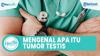 Mengenal Apa Itu Tumor Testis, Penyakit yang Menyerang Pemain Borussia Dortmund Sebastian Haller