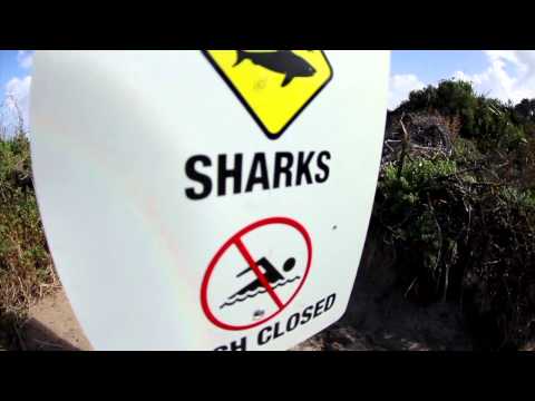 IBA Bodyboarding THE BOX PRO 2011 - Trials Postponed 11/04/2011