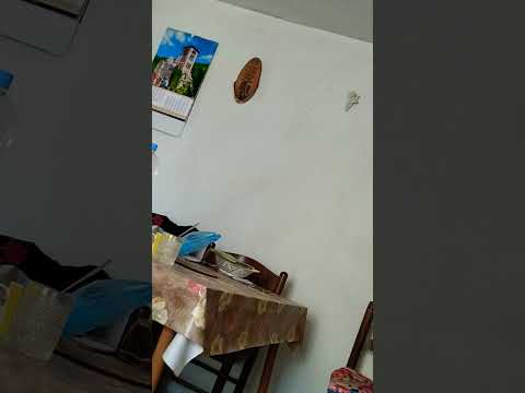 16. август 2025.