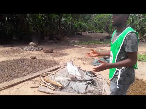 Empower 300 villagers in Ibadan slum, give water!